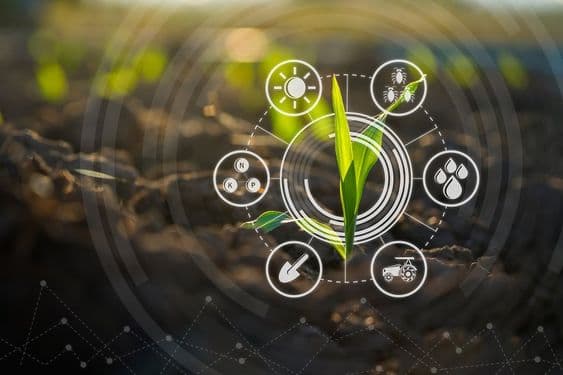 Management Systems for Moroccan Agriculture 🌱
"Detect Pests And Diseased Leaves 🍃"